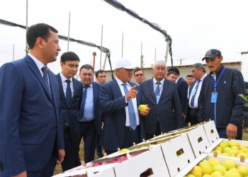 Өмірзақ Шөкеев Төлеби ауданындағы бірқатар әлеуметтік маңызы бар нысандарды аралады