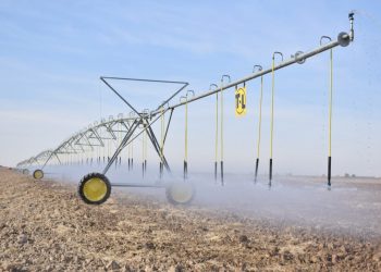 Түркістан облысында АҚШ технологиясымен жаңбырлатып суару тәсілі қолданысқа енгізілді