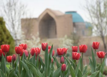 Өмірзақ Шөкеев: «Түркістан қаласы Қазақстанның жауһарына айналарына сенімдімін»