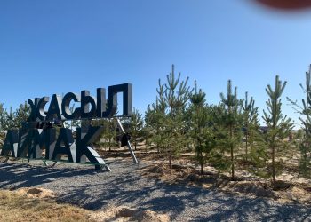 Түркістан облысында 1,3 миллионнан астам көшет отырғызылуда