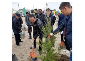 Жамбыл облысының әкімі де республикалық сенбілікке атсалысты