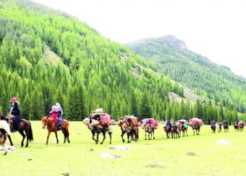 Солтүстікке көшу неге сылбыр?