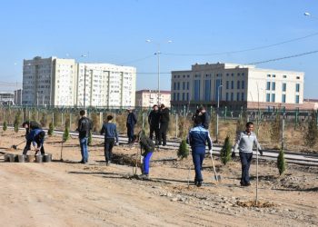 Түркістанда көгалдандыру жұмыстары қарқынды жүргізілуде