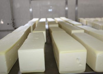 Жетісай ауданында кәсіпкерлік саласы қарқынды дамуда