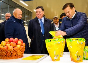 Асқар Мамин «Dala fruit.kz» Компаниясының жұмысымен танысты