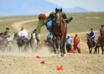 Түркістан облысында ұлттық спорт қарқынды дамып келеді