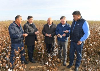 Ауыл шаруашылығы министрі Сапархан Омаров Түркістан облысына келді