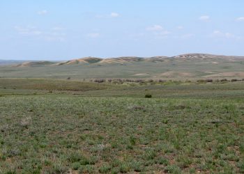 Түркістан қаласында 300-ден астам заңсыз иеленген жерлер анықталды