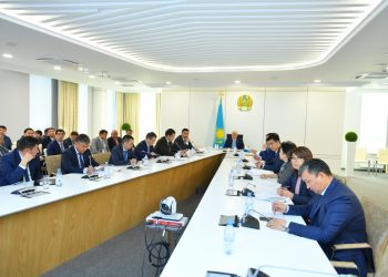 Өмірзақ Шөкеев мемлекеттік-жекеменшік әріптестік тетігін тиімді қолдануды талап етті