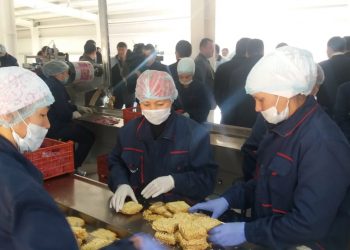 Қазығұртта әлемдік брендтегі кеспе өнімдерін дайындайтын зауыт ашылды