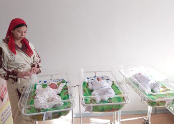 Түркістанда үшемдер дүниеге келді