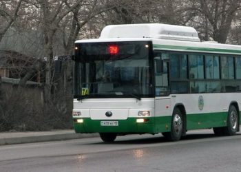 Перевозчик Green Bus признан банкротом