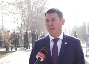 Әкім туған жерін түлетпек