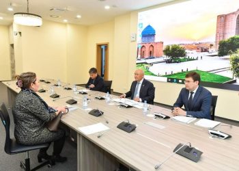 Өмірзақ Шөкеев көпбалалы ананы қабылдады