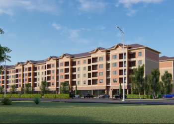 ТҮРКІСТАНДА 2020 ЖЫЛЫ ЖАҢА МӨЛТЕК АУДАН ПАЙДА БОЛАДЫ