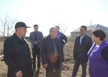ТҮРКІСТАН ОБЛЫСЫНДА «ҚАМҚОРЛЫҚ» ЖОБАСЫНА ЕРІКТІЛЕР БЕЛСЕНДІ АТСАЛЫСУДА