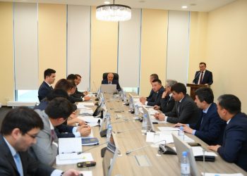 ӨМІРЗАҚ ШӨКЕЕВ СОЗАҚ АУДАНЫНДА ТҮЙЕ ШАРУАШЫЛЫҒЫН ДАМЫТУДЫ  ТАПСЫРДЫ