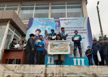 Командалық көкпар ойындарының жеңімпаздары анықталды