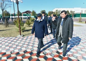 Мақтаарал ауданында өзекті мәселелердің түйіні тарқатылды