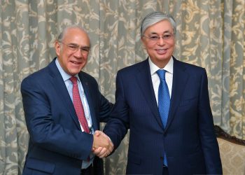 Қазақстан Президенті Экономикалық ынтымақтастық және даму ұйымының Бас хатшысымен кездесті