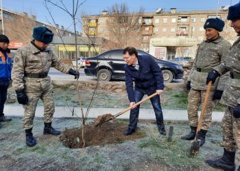 Шымкентте жалпықалалық сенбілік өтті