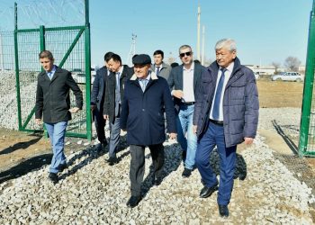 Жетісай ауданында күн электр станциясы іске қосылды