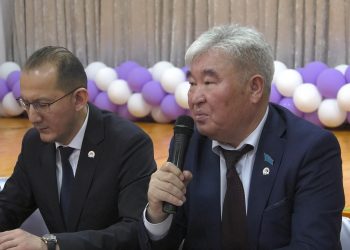 Депутат Көксайдың мәселесін көтерді