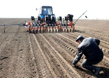 Түркістан: 154 шаруа қожалық бір жерден екі өнім алуды көздеп отыр