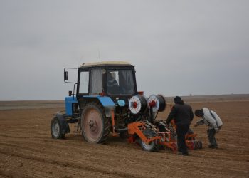 Шардарада көктемгі егіс жұмыстары қыза түсті