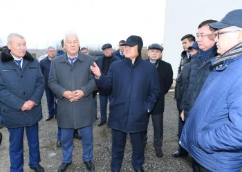 Өмірзақ Шөкеев баспанаға мұқтаж көпбалалы ананың шаңырағында болды