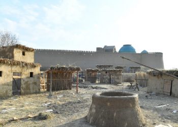 ТҮРКІСТАНДА ТЕҢДЕСІ ЖОҚ «ЭТНОАУЫЛ» БОЙ КӨТЕРДІ