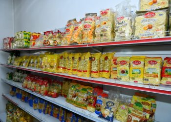 ТҮРКІСТАНДА АЗЫҚ-ТҮЛІК БАҒАСЫН ТҰРАҚТАНДЫРУ БОЙЫНША МОБИЛЬДІ ТОП НАҚТЫ ШАРАЛАР АТҚАРУДА