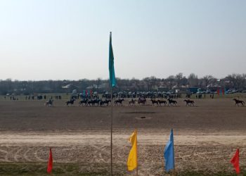 Көкпардан Зиябек Жеткеровтің жүлдесіне арналған облыстық турнир өтуде