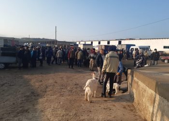 Базарларға сақтық шарасы жүргізілуде