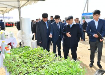 Түркістан облысында израильдік ғалымдардың қатысуымен жиын өтті