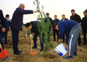 Министр Жетісайда көшет екті