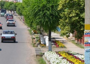 Сарыағаш қаласының айналма жолының құрылысы қаржыландырмақ