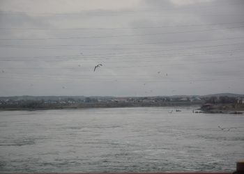 «ШАРДАРА СУ ЭЛЕКТР СТАНЦИЯСЫНЫҢ» ӨНІМДІЛІК ҚУАТЫ АРТТЫ