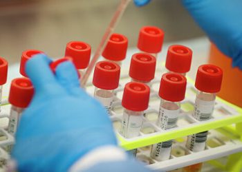 Түркістан: Шетелден келген 51 азаматтан вирус анықталмады