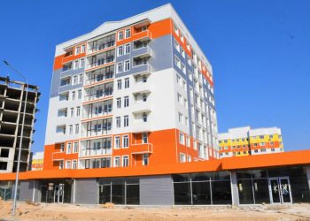 Даулы мәселенің мән жайы анықталды