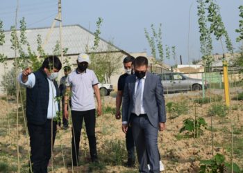 Түркістан қаласын көгалдандыруға тамшылатып суару әдісі қолға алынды