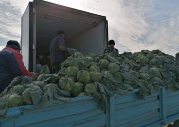 Түркістандық шаруалар ерте көктемгі өнімдерін экспортқа шығарды