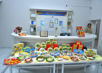 Сайрам ауданында іскер әйел мұқтаж жандарға көмектесті