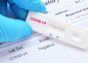 Түркістан облысында індет ошақтары анықталды