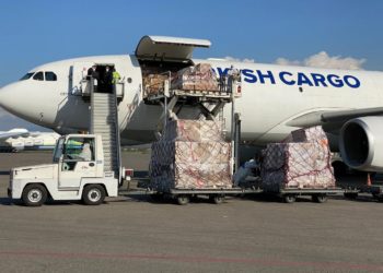 Түркиялық инвестор елімізге дәрі-дәрмектер жолдады