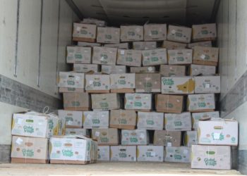 САРЫАҒАШТЫҚ ШАРУАЛАР КӨРШІЛЕС ЕЛДЕРГЕ 500 ТОННА АЗЫҚ-ТҮЛІК ЭКСПОРТТАДЫ