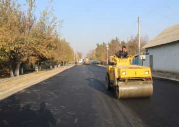 БИЫЛ КЕЛЕС АУДАНЫНДА 33 КӨШЕГЕ ОРТАША ЖӨНДЕУ ЖҰМЫСТАРЫ ЖҮРГІЗІЛЕДІ