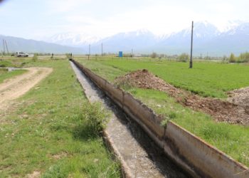 Түлкібас ауданында суармалы егістік алқабы 1115 гектарға ұлғаяды