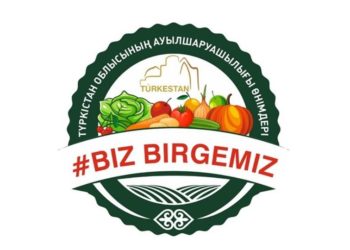 ТҮРКІСТАН ОБЛЫСЫНДА КӨКТЕМГІ ДАЛА ЖҰМЫСТАРЫН КЕДЕРГІСІЗ ЖҮРГІЗУ АЛГОРИТІМІ БЕКІТІЛДІ