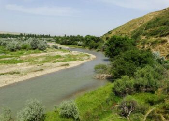 Арыс өзенінің тасуы да ықтимал…